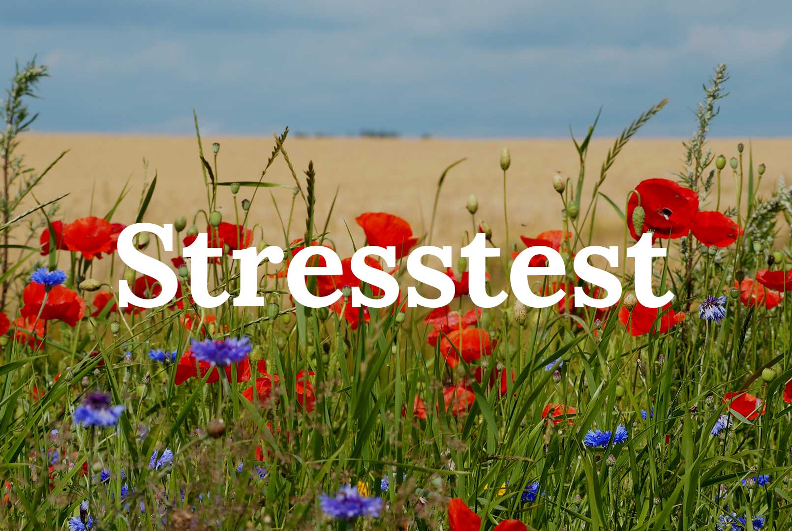 Tag en stresstest